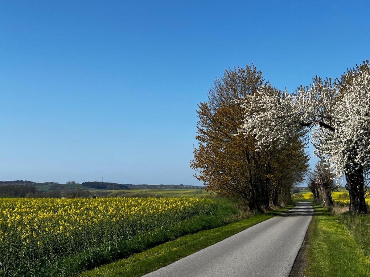 Gut Manderow An Der Ostsee Hohenkirchen  Exterior foto