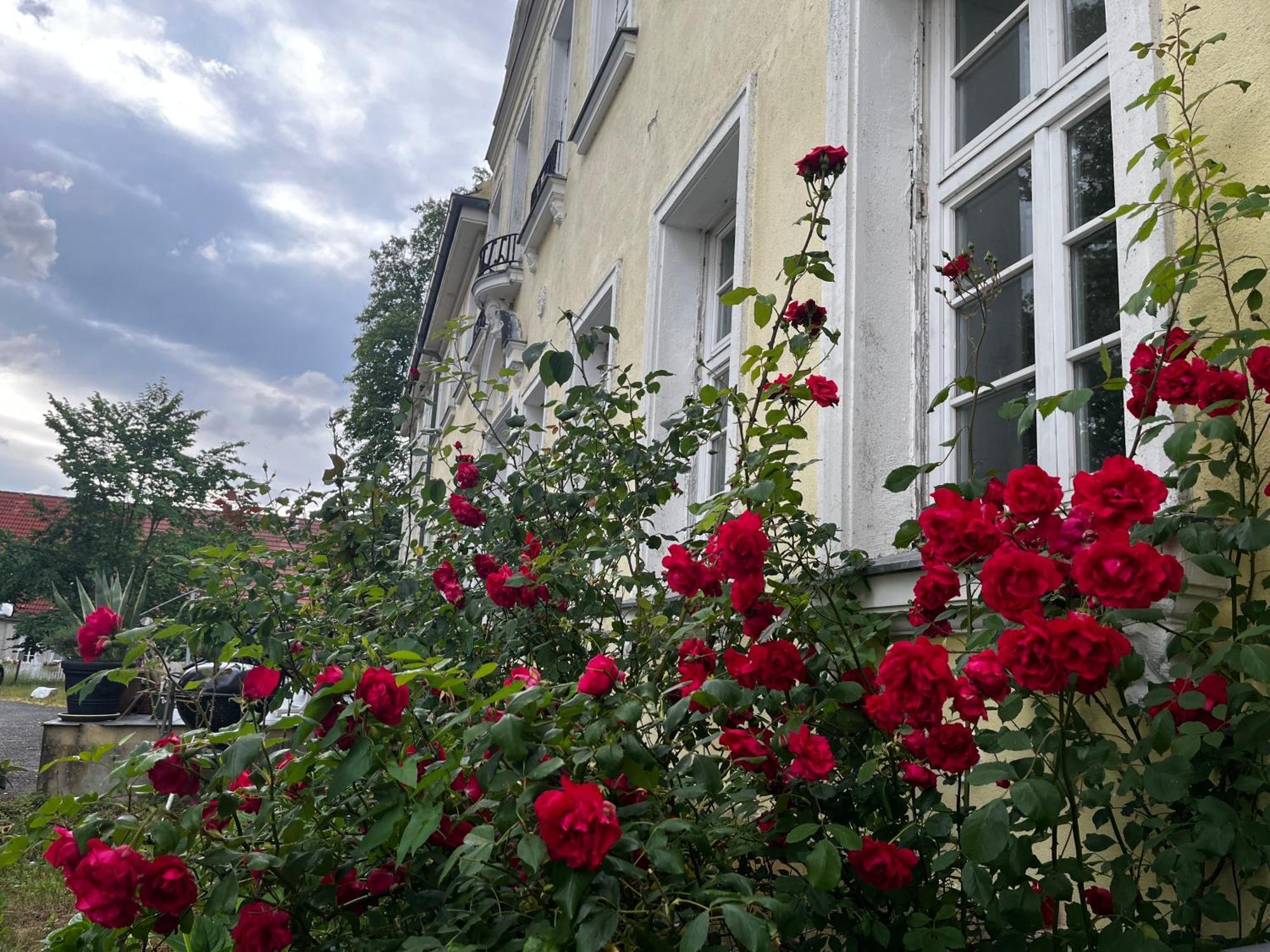 Gut Manderow An Der Ostsee Hohenkirchen  Exterior foto